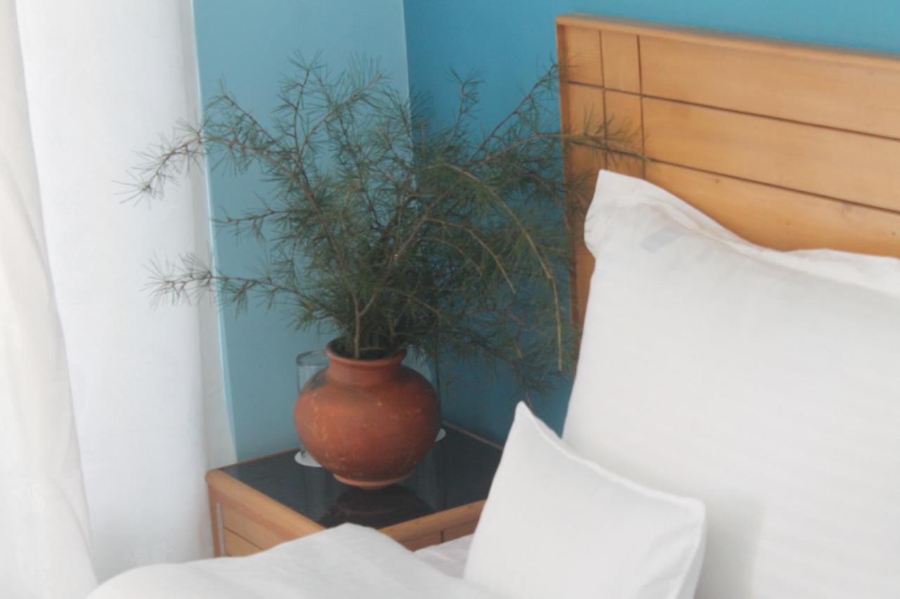 Junglaat Stays & Experiences Dharamshala Exterior foto