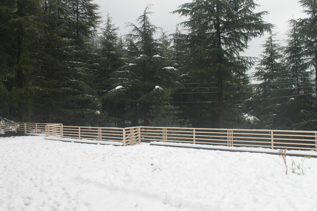 Junglaat Stays & Experiences Dharamshala Exterior foto